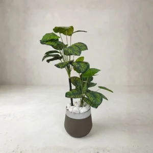 Artificial Money Plant