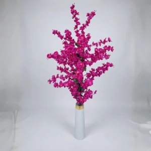 Pink Cherry Blosssom