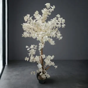 White Cherry Blossom Tree